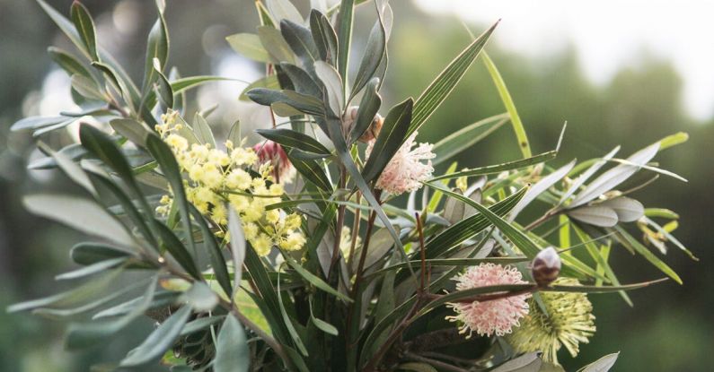 Native Plants - Shallow Focus Photography of Pink and Yellow Flowers