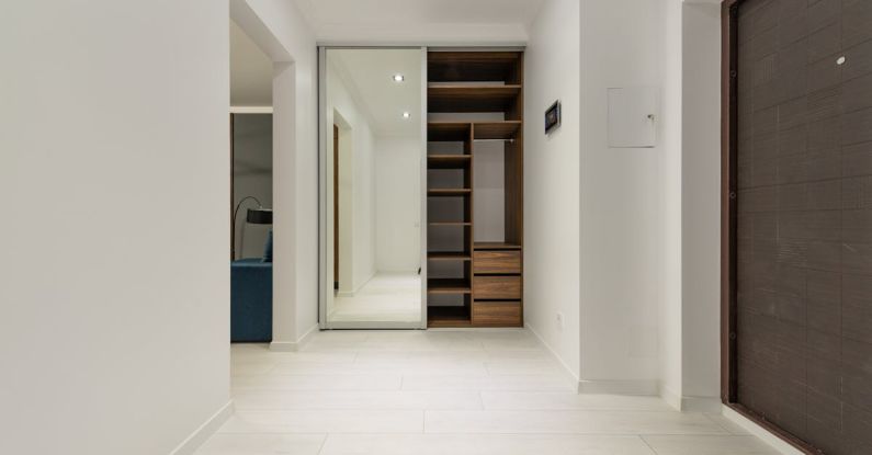 Closet Space - Modern hall interior with closet in house